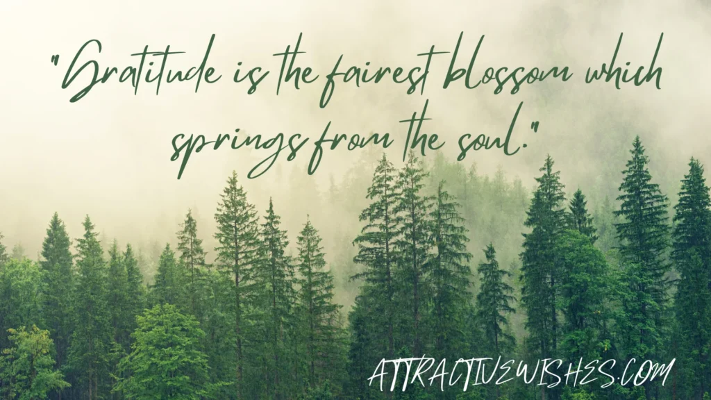 "Gratitude is the fairest blossom which springs from the soul."