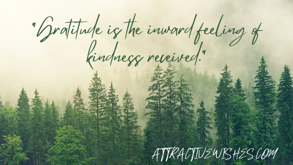 "Gratitude is the inward feeling of kindness received." 