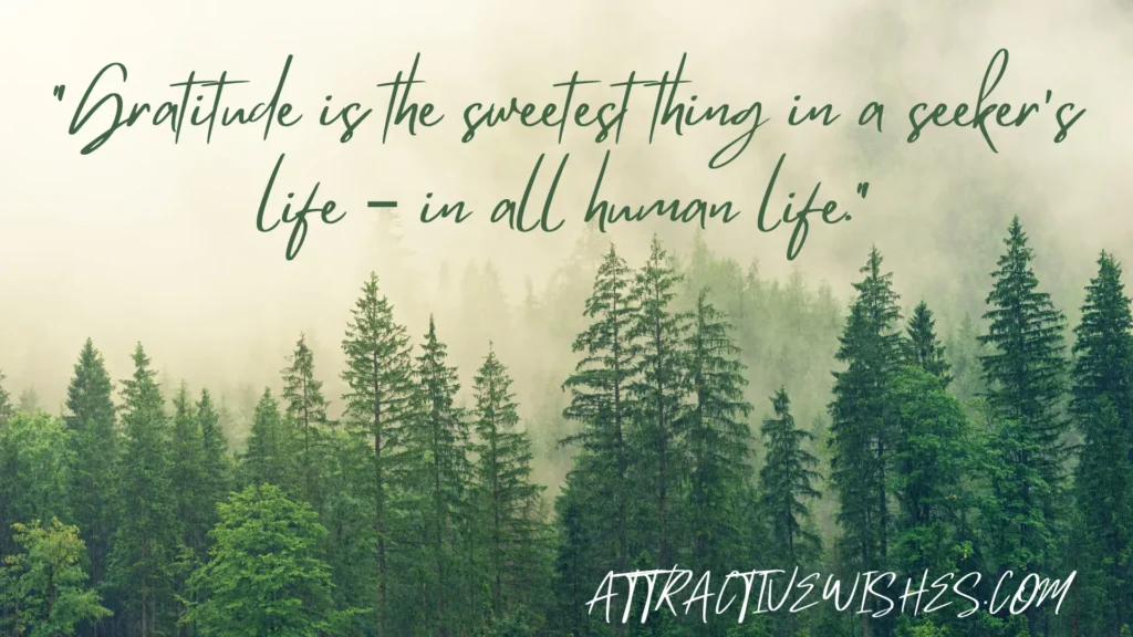 "Gratitude is the sweetest thing in a seeker's life – in all human life."