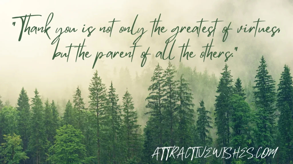 "Thank you is not only the greatest of virtues, but the parent of all the others."
