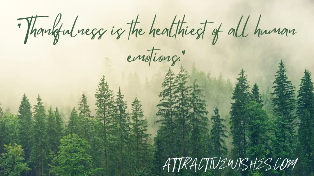 "Thankfulness is the healthiest of all human emotions."