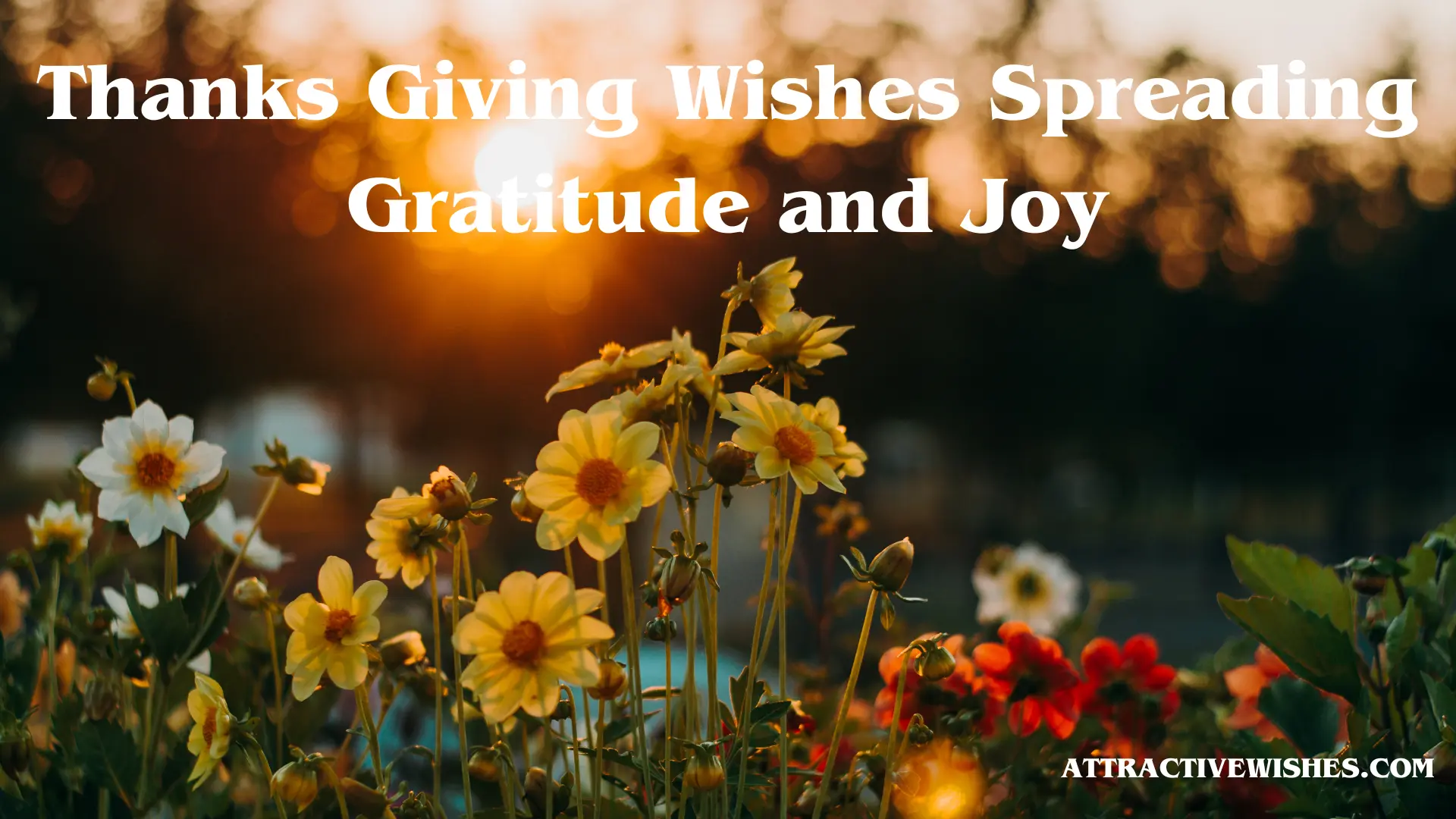Thanks Giving Wishes Spreading Gratitude and Joy